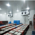 Sala de almacenamiento en frío de alta calidad para peces con precio